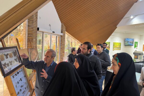 photo_2025-12-11_19-50-11